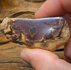 166cts - Yowah Nut Opal Polished Partial Kernel Specimen - Opal Whisperers