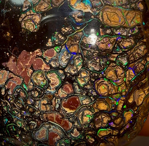 82.3cts - Australian Boulder Opal. Top Tight Tribal Pattern - Opal Whisperers
