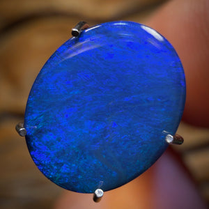 1.8cts - Australian Boulder Opal Doublet Bargain