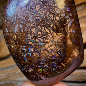 HDW 133.6cts - Large Tribal Queensland Boulder Opal. Australian Opal