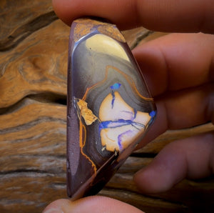 260.1cts - Yowah Nut Kernel Opal. Polished Specimen