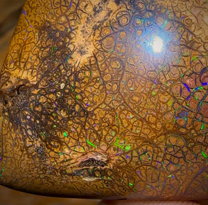 282.5cts - Intricate Tan Tribal Queensland Boulder Opal. Polished Specimen