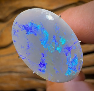 5.6cts - Lightning Ridge Dark Opal - Opal Whisperers