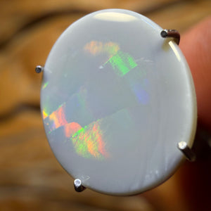 1.7cts - Dark Opal from Lightning Ridge Rolling Harlequin Type