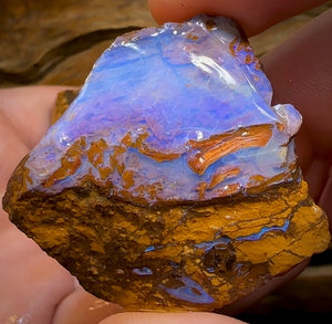 326.4cts - 3x Australian Boulder Opal Rough - Opal Whisperers