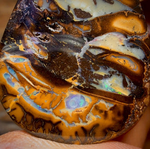 34.6cts - Queensland Boulder Opal from Yowah