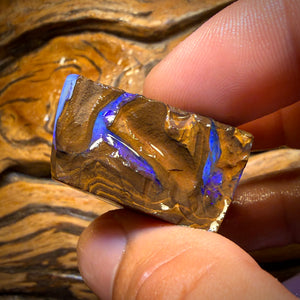 192.2cts - Found whilst Filming for Discovery Channel Duck Creek Boulder Opal Rough Preform