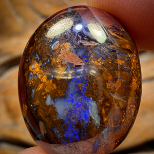 37.8cts - Koroit Nut Opal. Australian Opal
