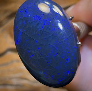 Auction Fall-Through = Your Gain! 🔥 Now More Than 50% Off RRP 🚨 “Dakota Nightfall Blue” 13.8cts - Big Black Opal from Lightning Ridge