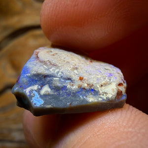16.8cts - Lightning Ridge Opal Rough Piece