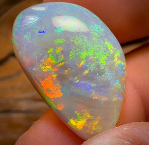 20.4cts - GEM South Australian Dark Opal. Multicolours!