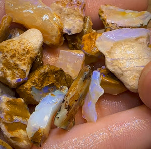 208.5cts - 25x Opalised Wood/Vegetation Fossil Rough Parcel from Yowah