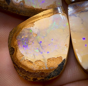 167.1cts - ‘Tiger Moth’ Yowah Nut Crystal Centre Opal Twin Pair - Opal Whisperers