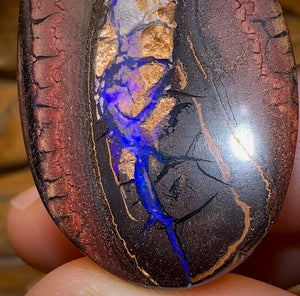 109.1cts - Yowah Nut Kernel Opal. Australian Opal Double Sided - Opal Whisperers