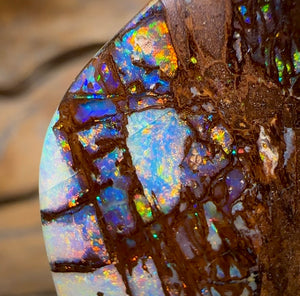 (Template) 24.1cts - Top Australian Boulder Wood Fossil Opal. Rare Cathedral Pattern - Opal Whisperers