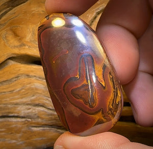 🔨 AUCTION 🔨 Reserve 💎 High Roller Banger Auction 💎 281.9cts - “Thick and Chunky” Large Tribal Yowah Nut Opal