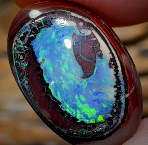 11.8cts - “Collectors Prize” Yowah Nut Kernel Opal. Australian Boulder Opal