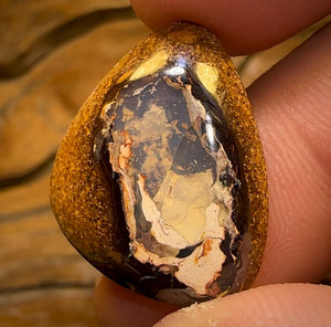 🔨 AUCTION 🔨 15.4cts - Yowah Nut Kernel Opal. Australian Boulder Opal