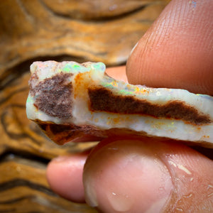 Wild Card! 42.1cts - Large South Australian White Opal Rough Piece