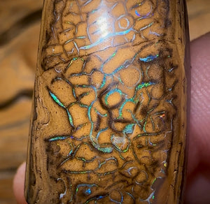 53.7cts - Tribal Queensland Boulder Opal from Yowah - Opal Whisperers