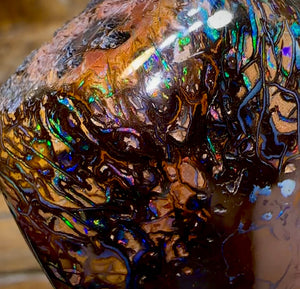 342.9cts - Large Polished Tribal Koroit Nut Opal Specimen - Opal Whisperers