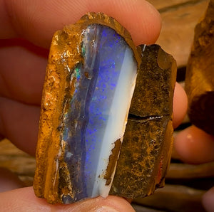 859cts - Pair of Queensland BoulderNatural Split Opal Rough Pieces