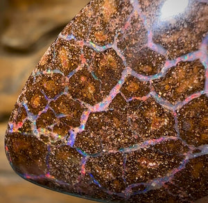 124.2cts - Large Queensland Boulder Opal. Multicolours - Opal Whisperers
