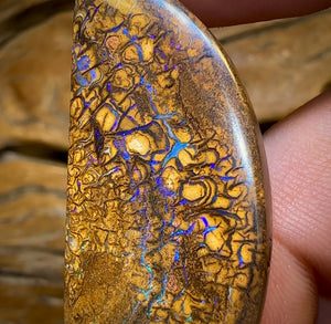 Auction Fall-Through = Your Gain! 🔥 Now More Than 50% Off RRP 🚨 48.4cts - Queensland Boulder Opal from Yowah