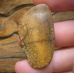 46.3cts - Yowah Nut Tribal. Australian Boulder Opal - Opal Whisperers