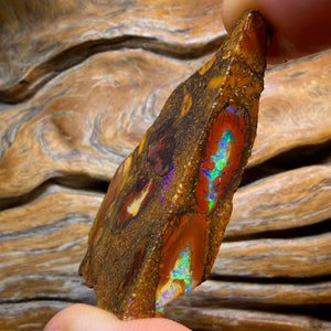 TGIF 154.4cts - TOP CUTTER Yowah Nut Conglomerate Opal Rough Piece