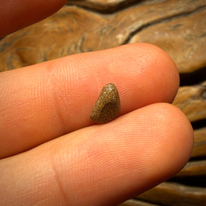 0.95cts - Queensland Boulder Seam Opal from Winton