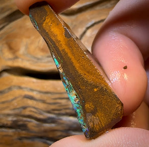 57.1cts - Queensland Boulder Wood Fossil Opal Preform Rub