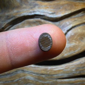 Wild Card! 0.9cts - Australian Boulder Opal Doublet