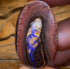 109.1cts - Yowah Nut Kernel Opal. Australian Opal Double Sided - Opal Whisperers