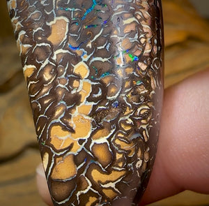 72.9cts - Yowah Nut Opal. Top Tribal Pattern - Opal Whisperers