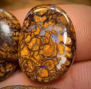 đ 55.7cts - 5x Finished Queensland Boulder Opal Parcel