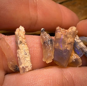 24.1cts - 9x Opalised Fossil Geological Specimens from Lightning Ridge