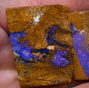 131.5cts - 2x Queensland Boulder Pipe Opal Rough.