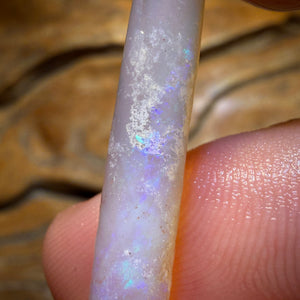 8.2cts - Opalised Belemnite Geological Specimen from South Australia