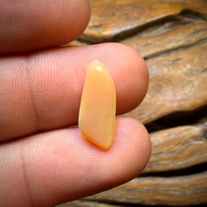 🔨 AUCTION 🔨 Reserve 💎 High Roller Banger Auction 💎 2.7cts - Re-cutters Delight Yowah Nut Golden Crystal Opal