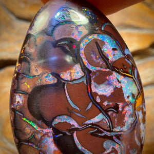 81.1cts - TOP Tribal Australian Boulder Opal from Koroit. RED MULTI!