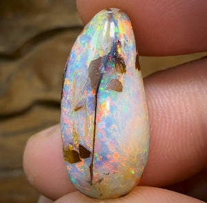 17.5cts - Yowah Nut Kernel Opal, Christmas Beetle - Opal Whisperers
