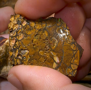 140.1g - 8x Mixed Queensland Boulder Opal Rough Pieces with Crystal Centres - Opal Whisperers