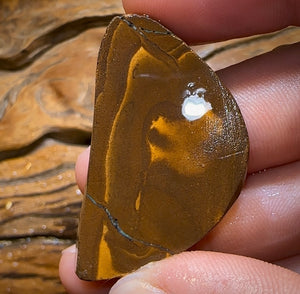 78.5cts - Australian Boulder Opal Rough Preform. Natural Split - Opal Whisperers