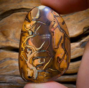 48-Hour VIP Crazy Offer 123.1cts - Tribal Queensland Boulder from Yowah Picture Stone