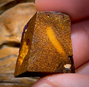44.9cts - OMG Tribal Queensland Boulder Opal Rough Piece from Koroit