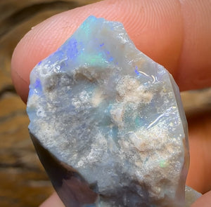 58.3cts - Lightning Ridge Opal Rough Piece