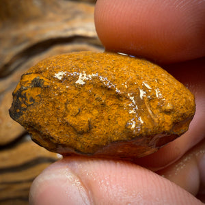 🔨 AUCTION 🔨 No Reserve 42.7cts - Tribal Yowah Nut Opal Rough Piece