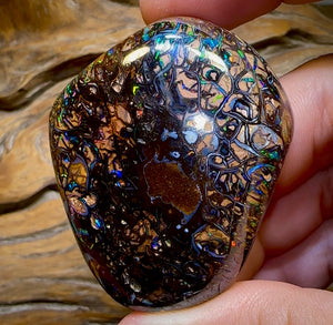 342.9cts - Large Polished Tribal Koroit Nut Opal Specimen - Opal Whisperers