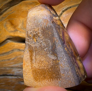 282.5cts - Intricate Tan Tribal Queensland Boulder Opal. Polished Specimen